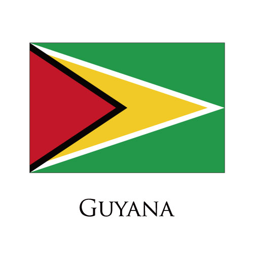 Guyana flag logo iron on paper